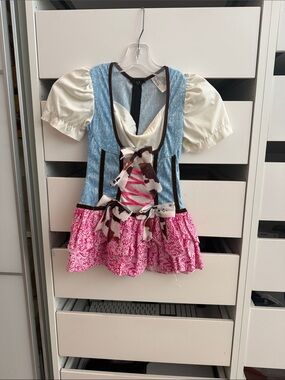 Blue & Pink Bavarian-Style Costume Dress